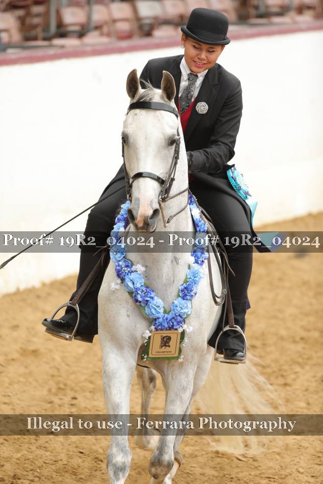 Proof 19R2_04024
