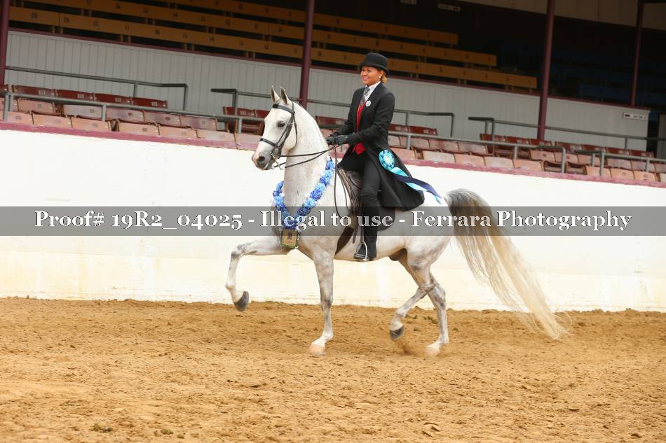 Proof 19R2_04025