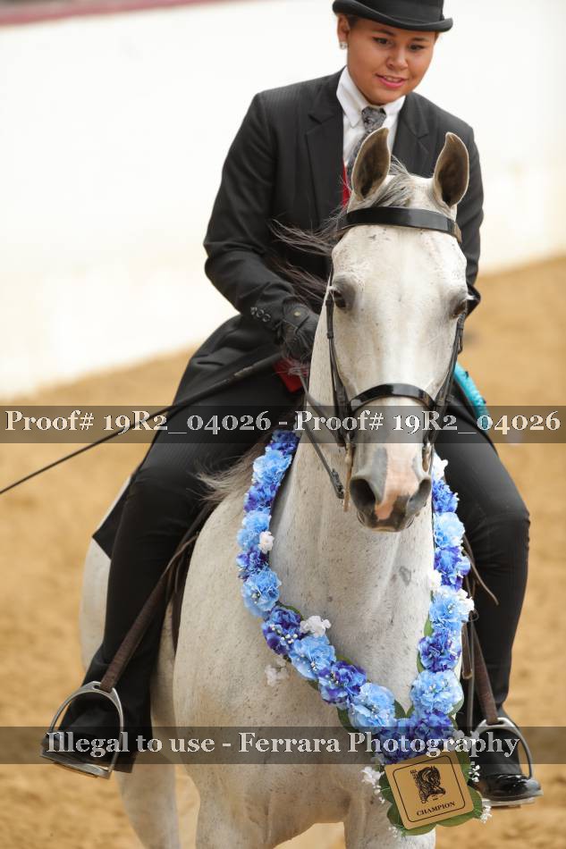 Proof 19R2_04026
