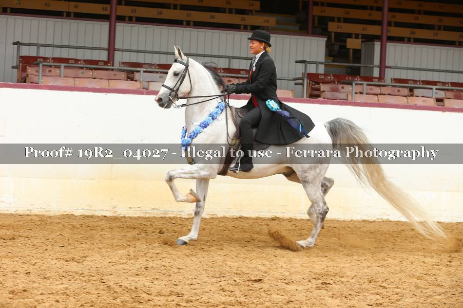 Proof 19R2_04027