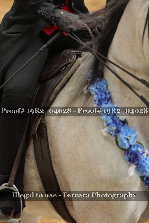 Proof 19R2_04028