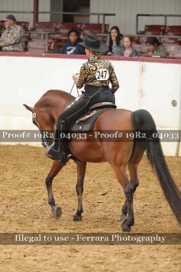 Proof 19R2_04033