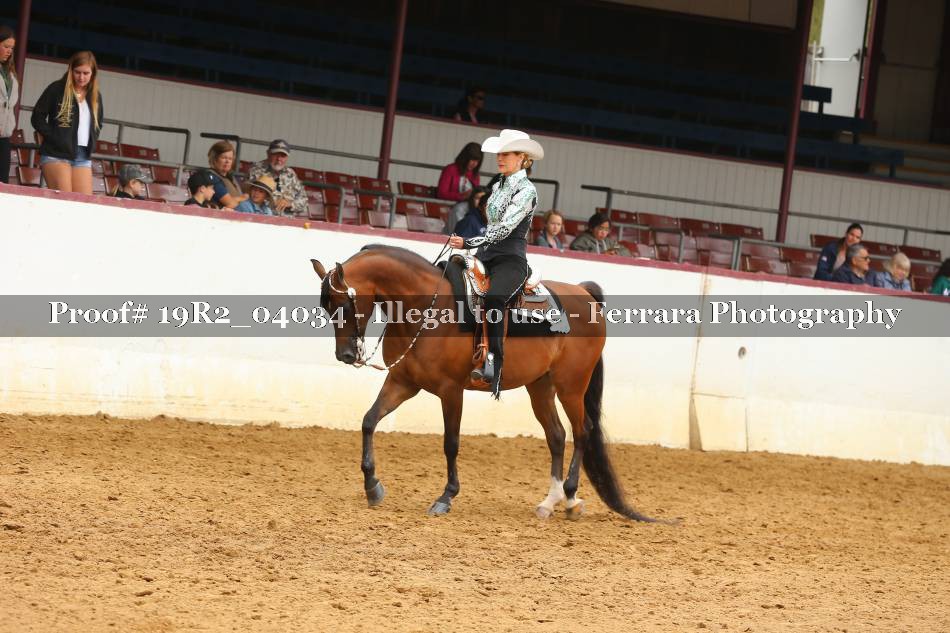 Proof 19R2_04034