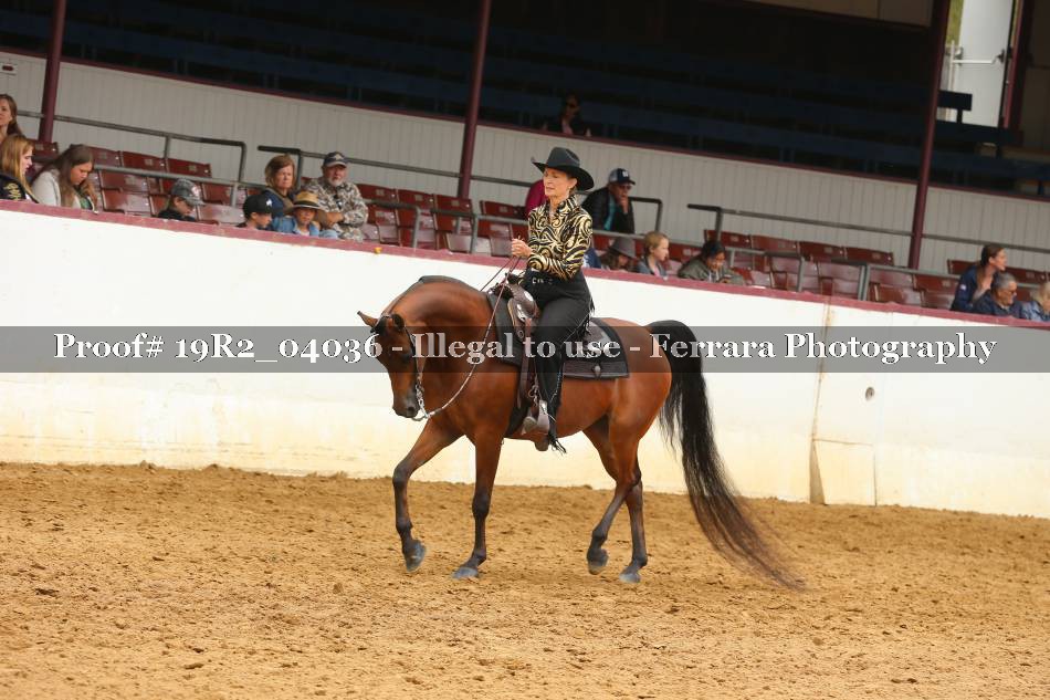 Proof 19R2_04036