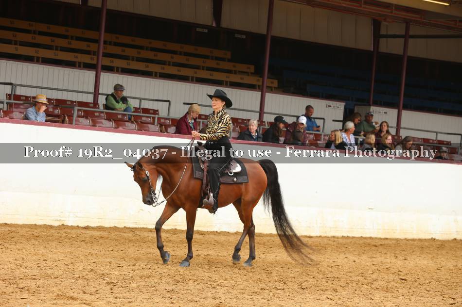 Proof 19R2_04037