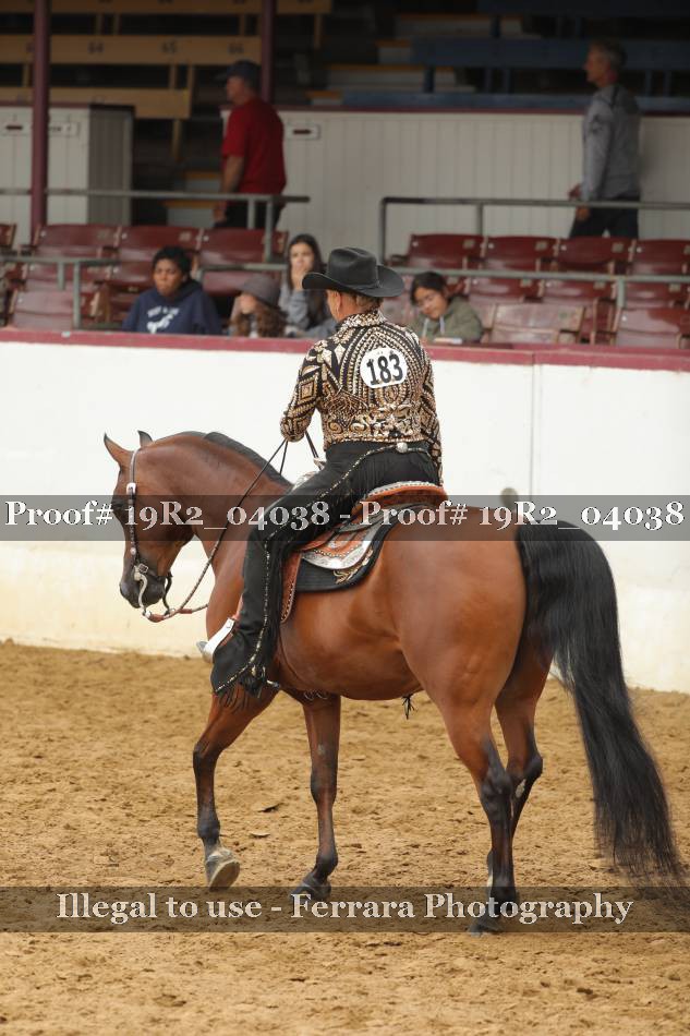 Proof 19R2_04038