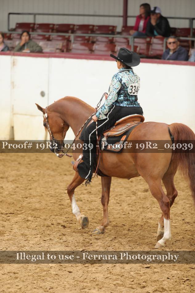 Proof 19R2_04039