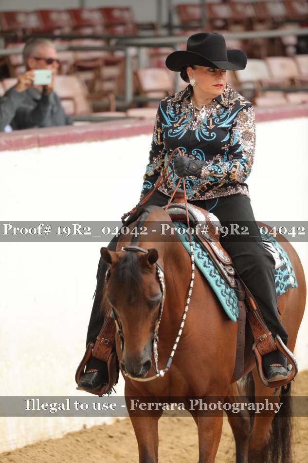 Proof 19R2_04042