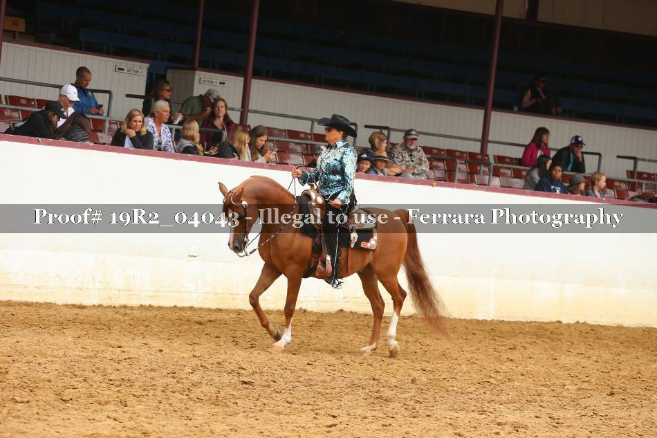 Proof 19R2_04043