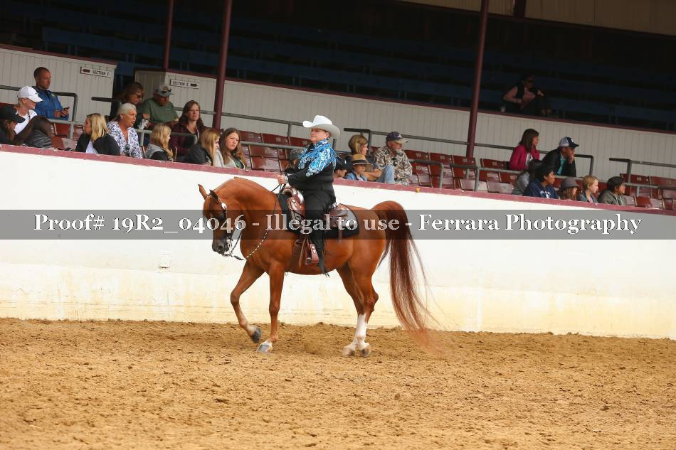 Proof 19R2_04046