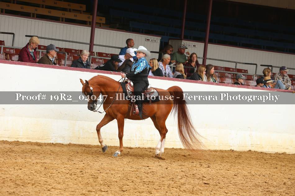 Proof 19R2_04047