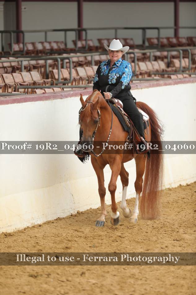Proof 19R2_04060