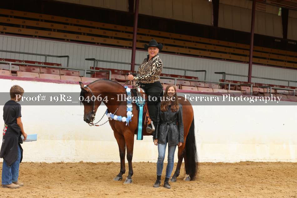 Proof 19R2_04064