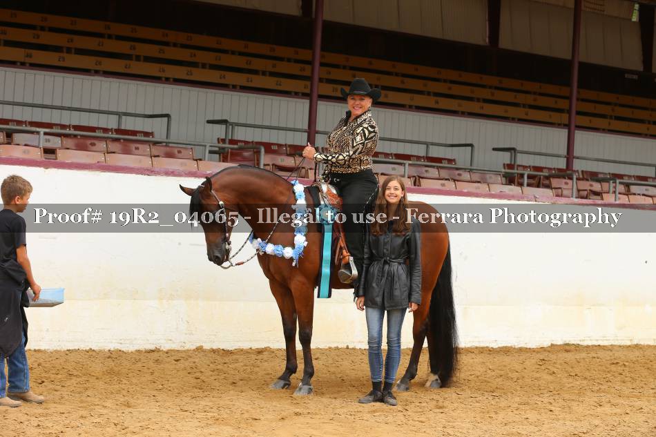 Proof 19R2_04065