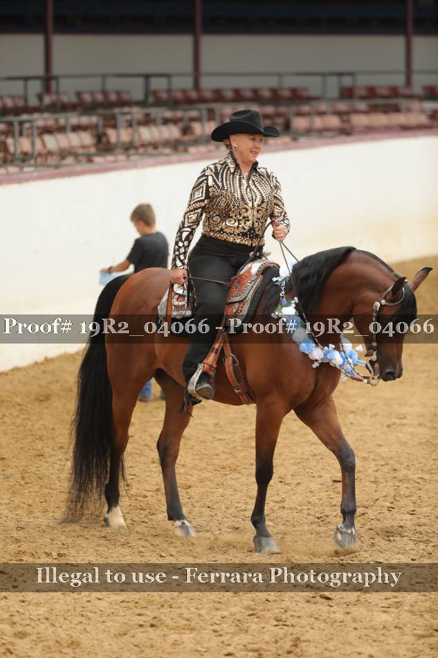 Proof 19R2_04066