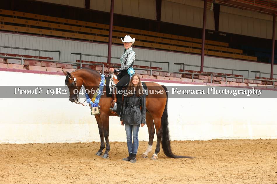 Proof 19R2_04069