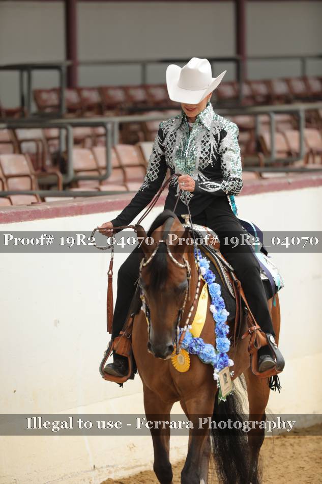 Proof 19R2_04070