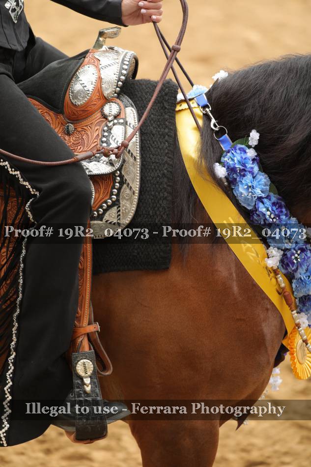 Proof 19R2_04073