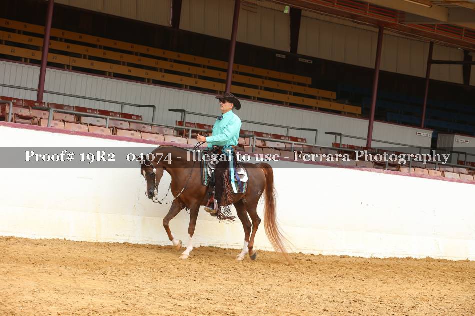 Proof 19R2_04074