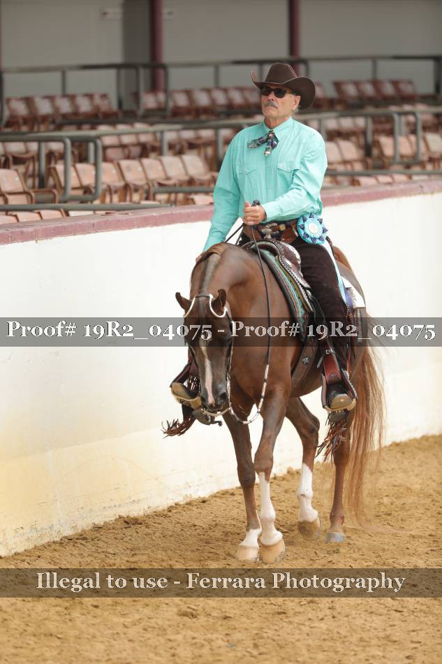 Proof 19R2_04075