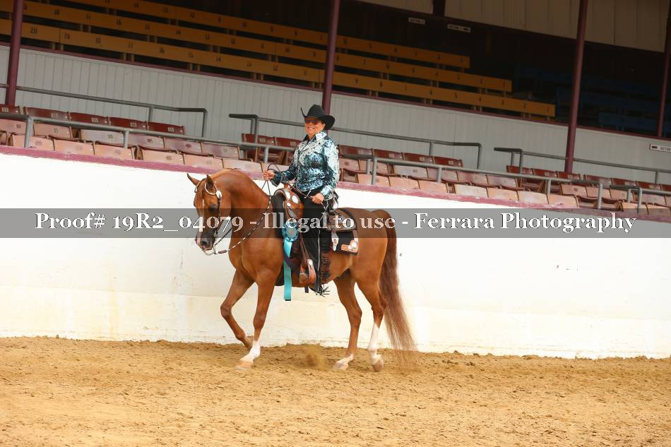 Proof 19R2_04079