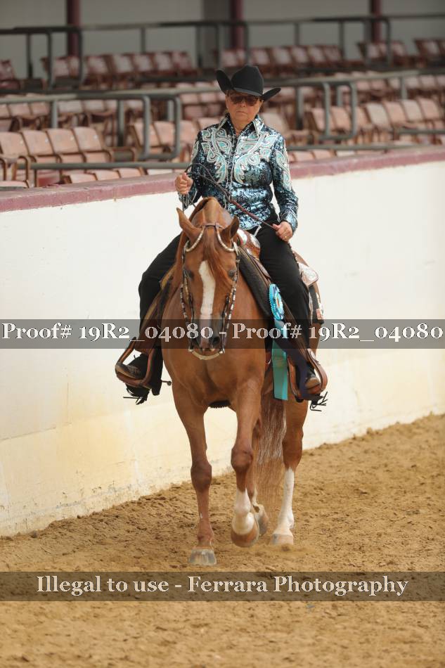 Proof 19R2_04080