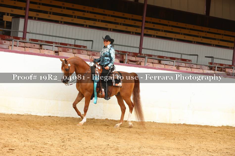 Proof 19R2_04081