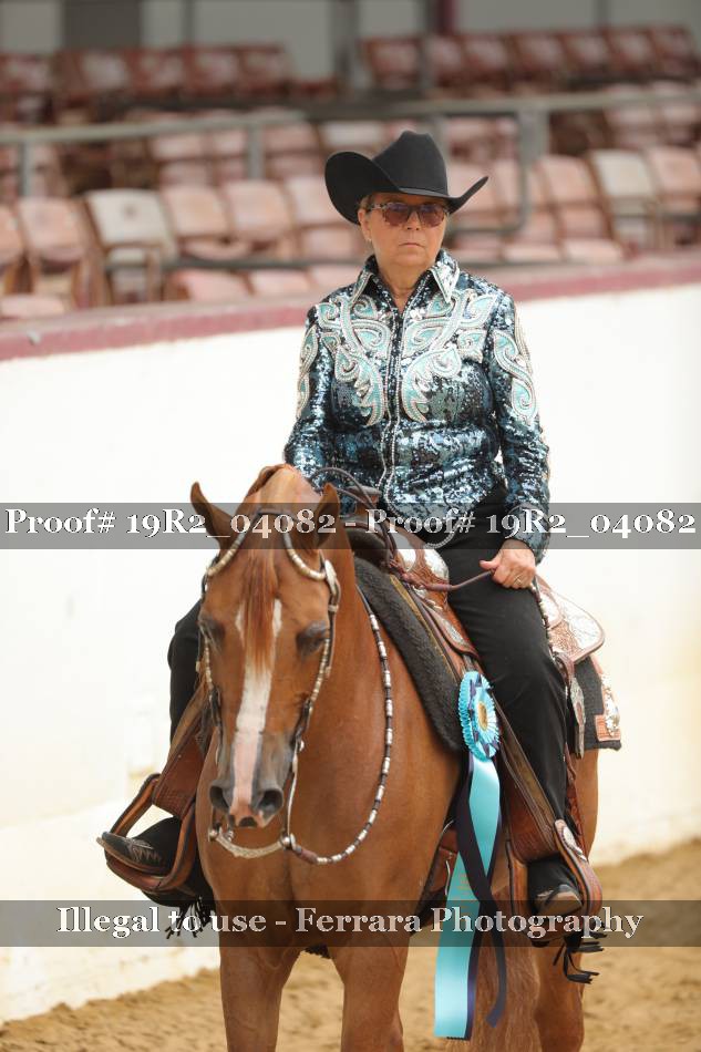 Proof 19R2_04082