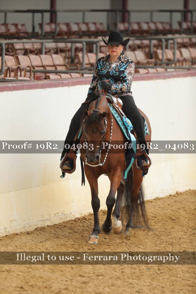 Proof 19R2_04083