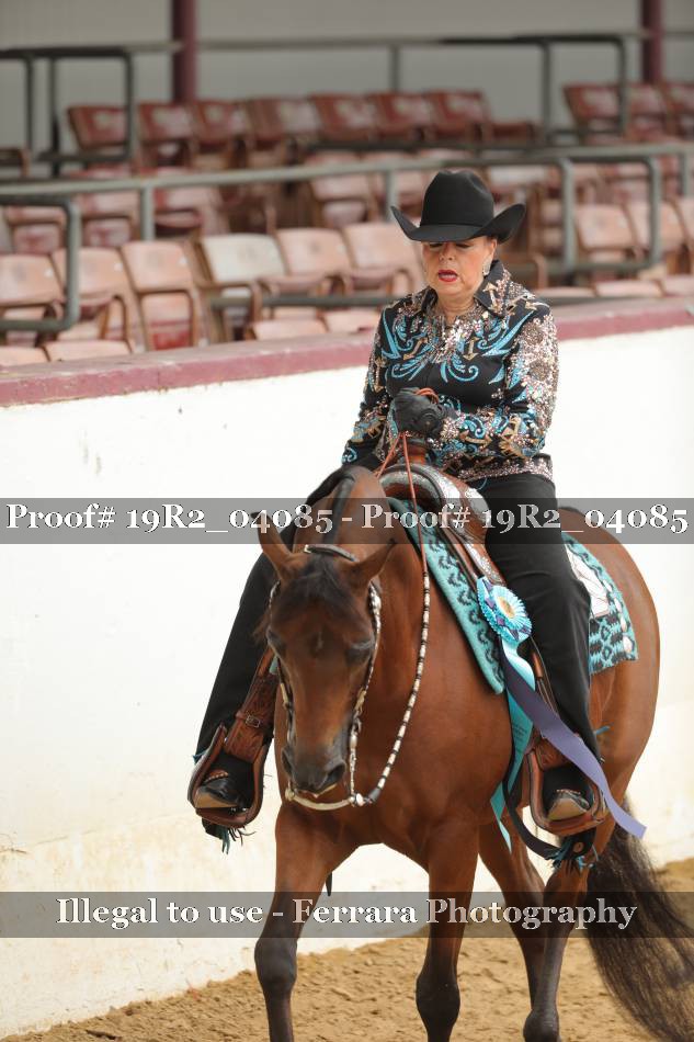 Proof 19R2_04085