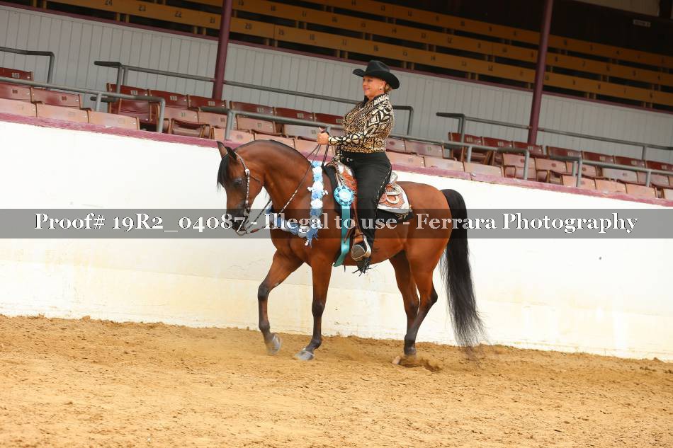 Proof 19R2_04087