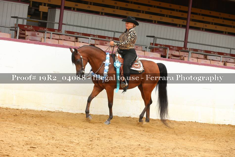 Proof 19R2_04088