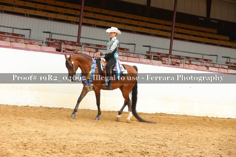 Proof 19R2_04092