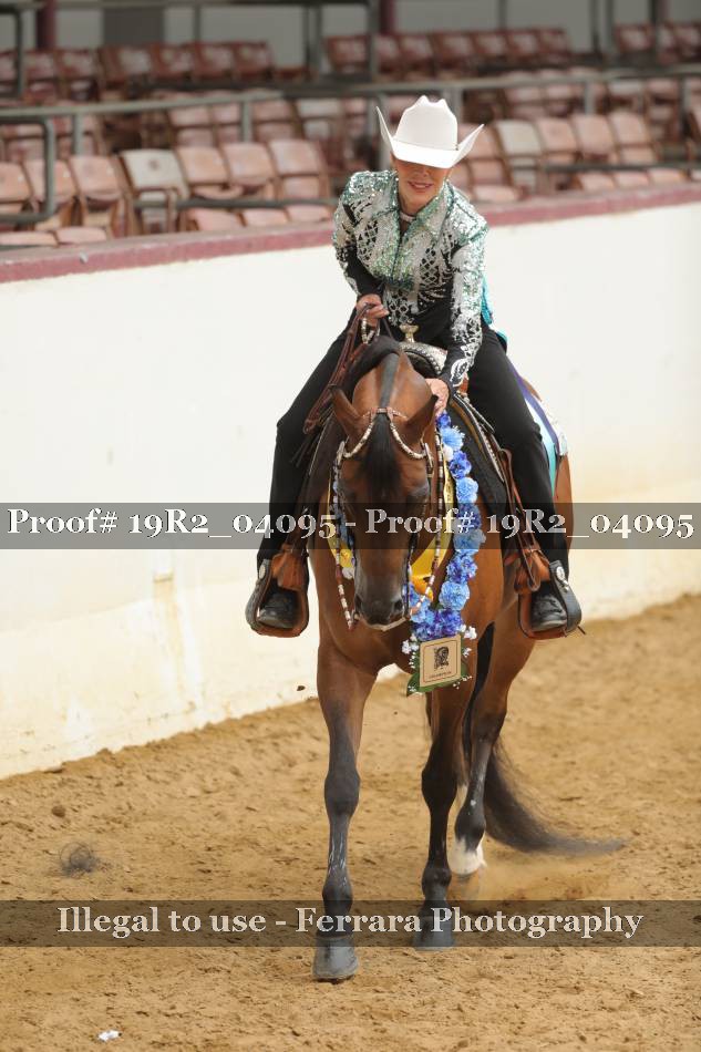 Proof 19R2_04095
