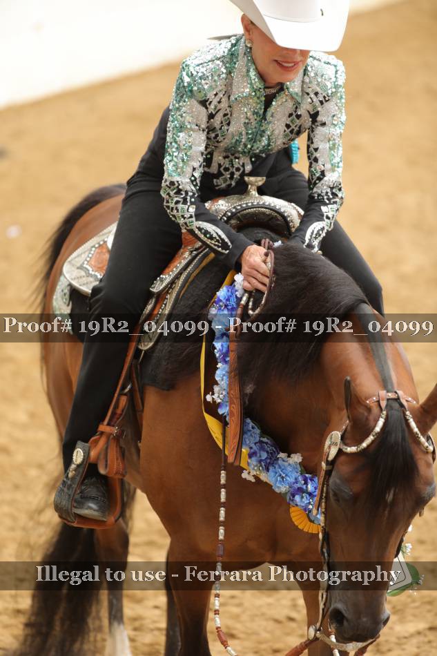 Proof 19R2_04099