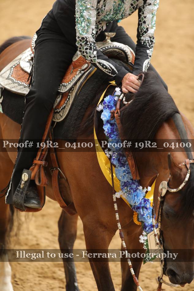 Proof 19R2_04100