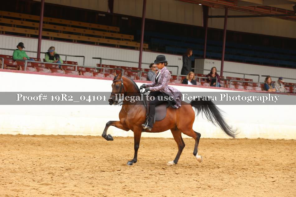 Proof 19R2_04101