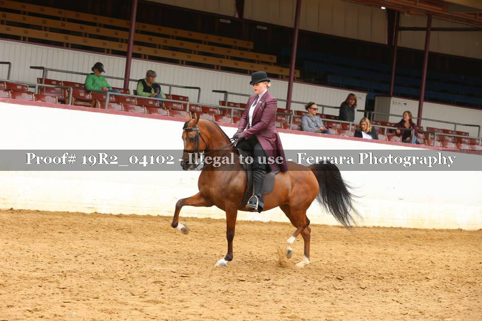 Proof 19R2_04102