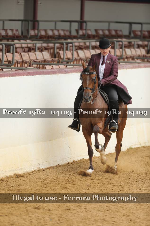 Proof 19R2_04103