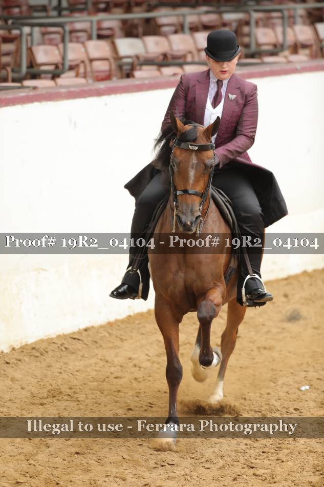 Proof 19R2_04104