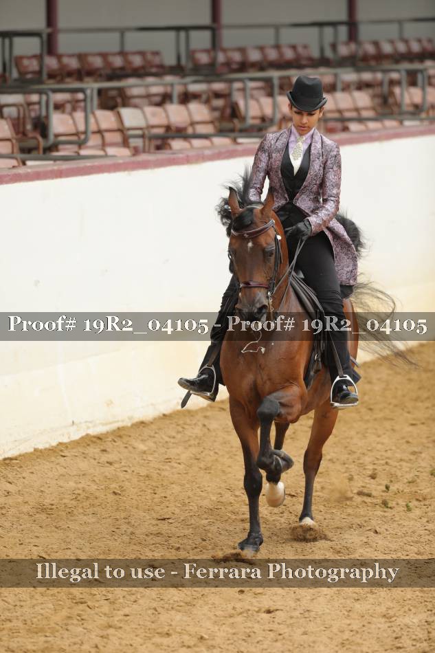 Proof 19R2_04105