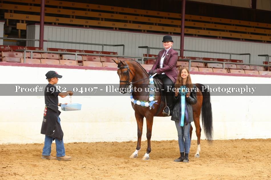 Proof 19R2_04107
