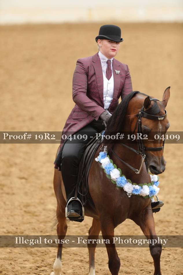 Proof 19R2_04109