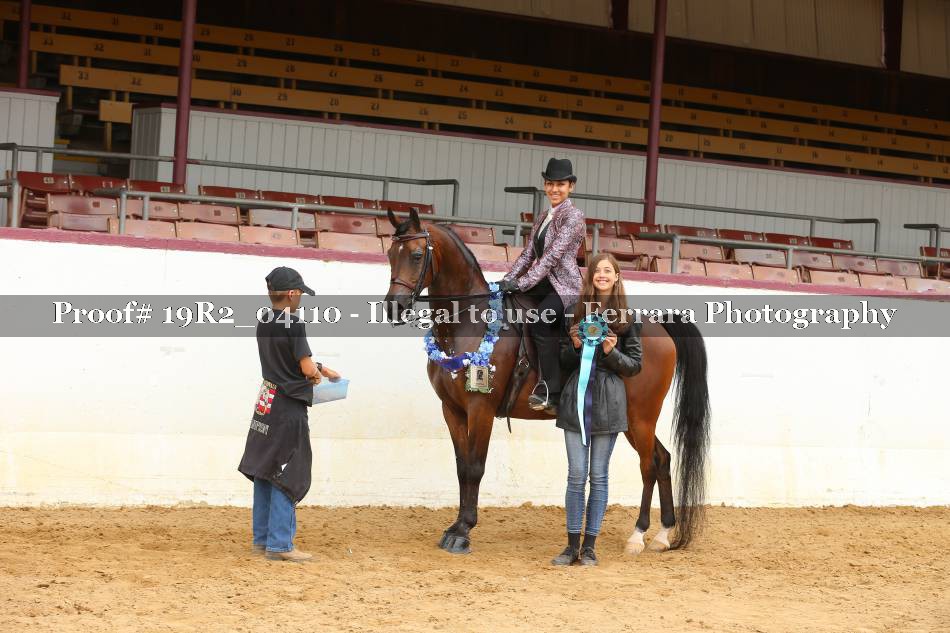 Proof 19R2_04110