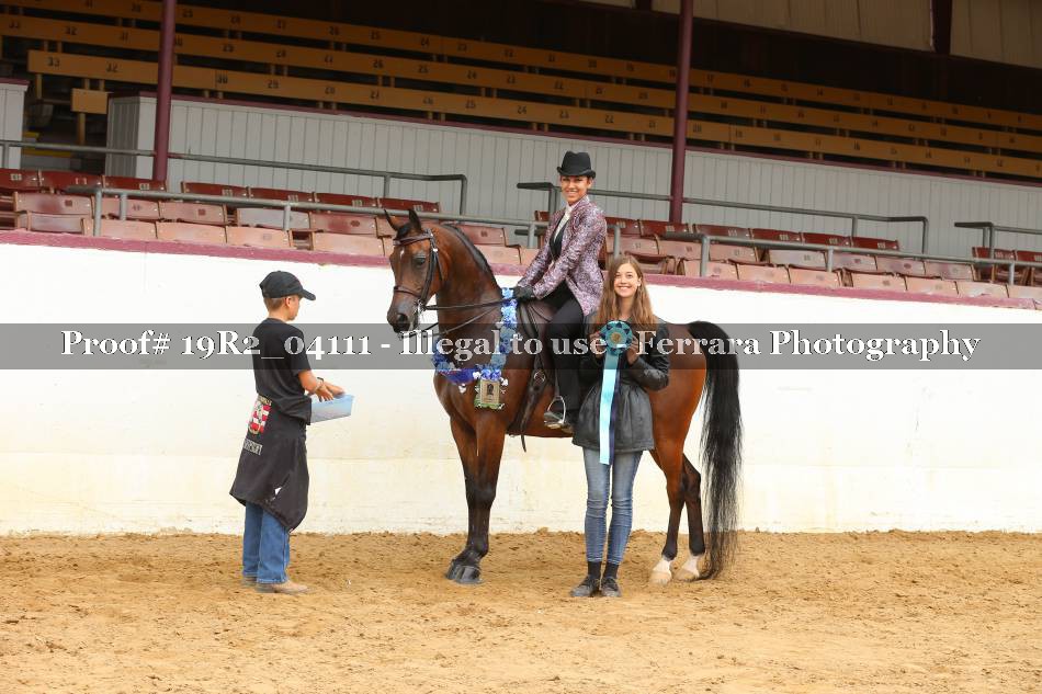 Proof 19R2_04111