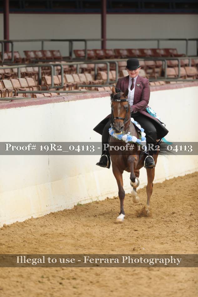 Proof 19R2_04113