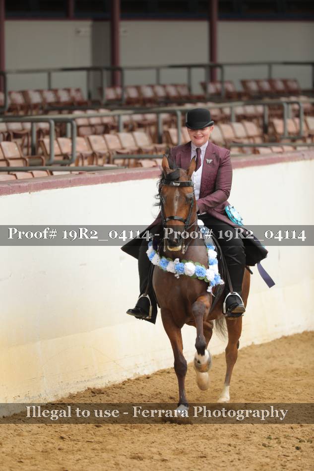 Proof 19R2_04114