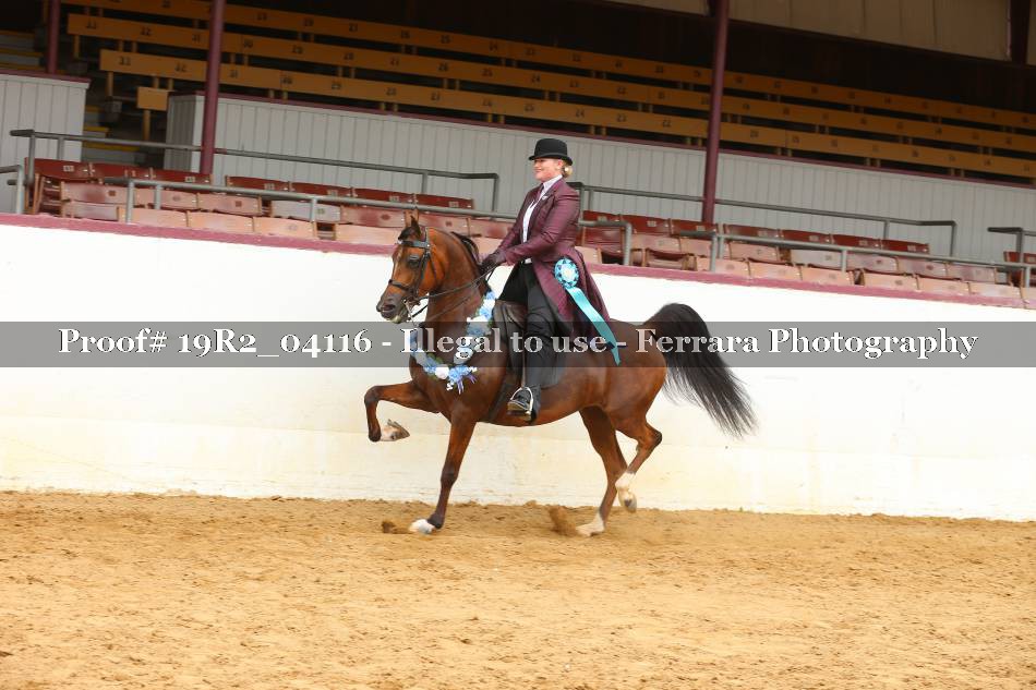 Proof 19R2_04116