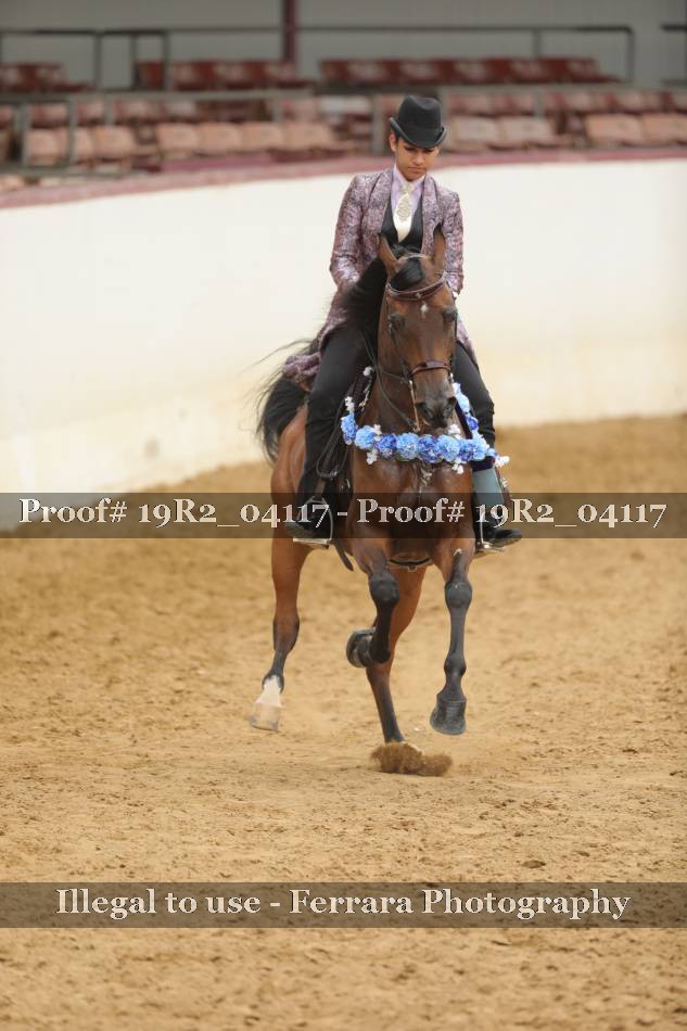 Proof 19R2_04117