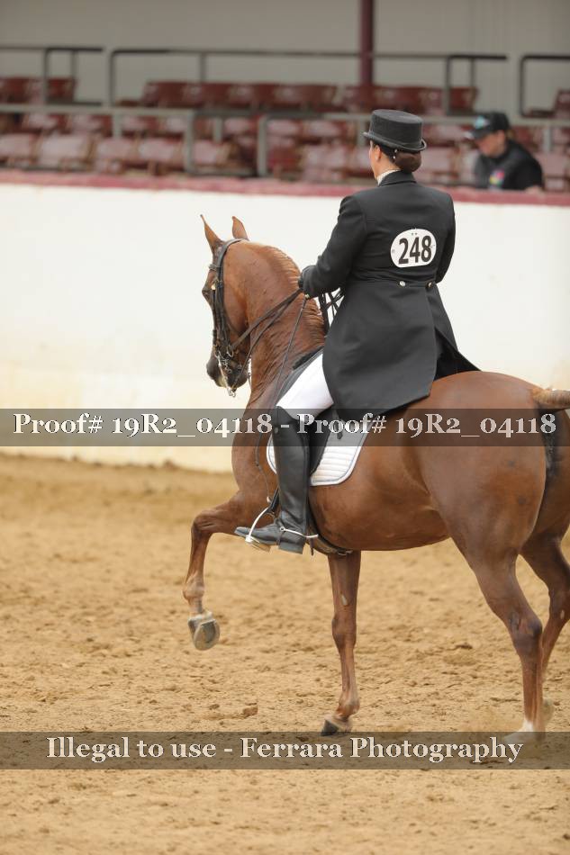 Proof 19R2_04118